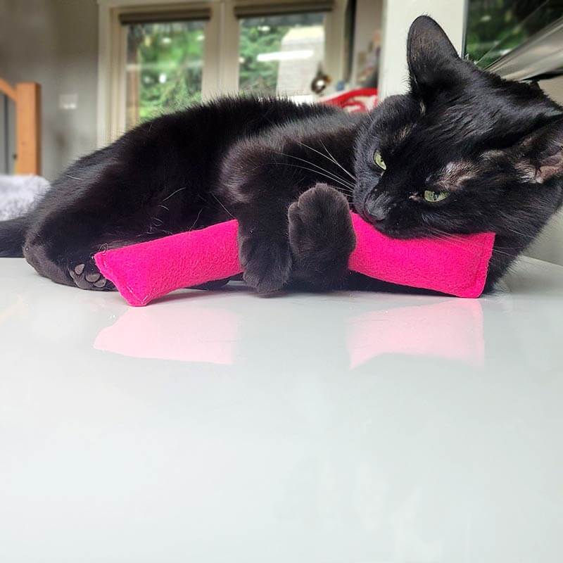 Cat Toy - Catnip Kicker - Hot Pink