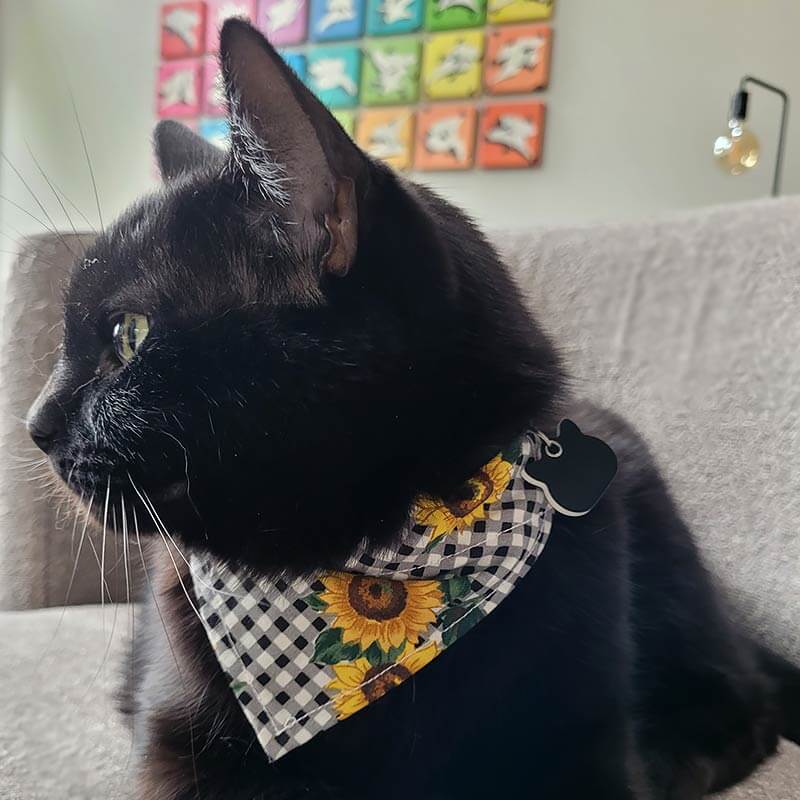 Dog Bandana - Sunflower