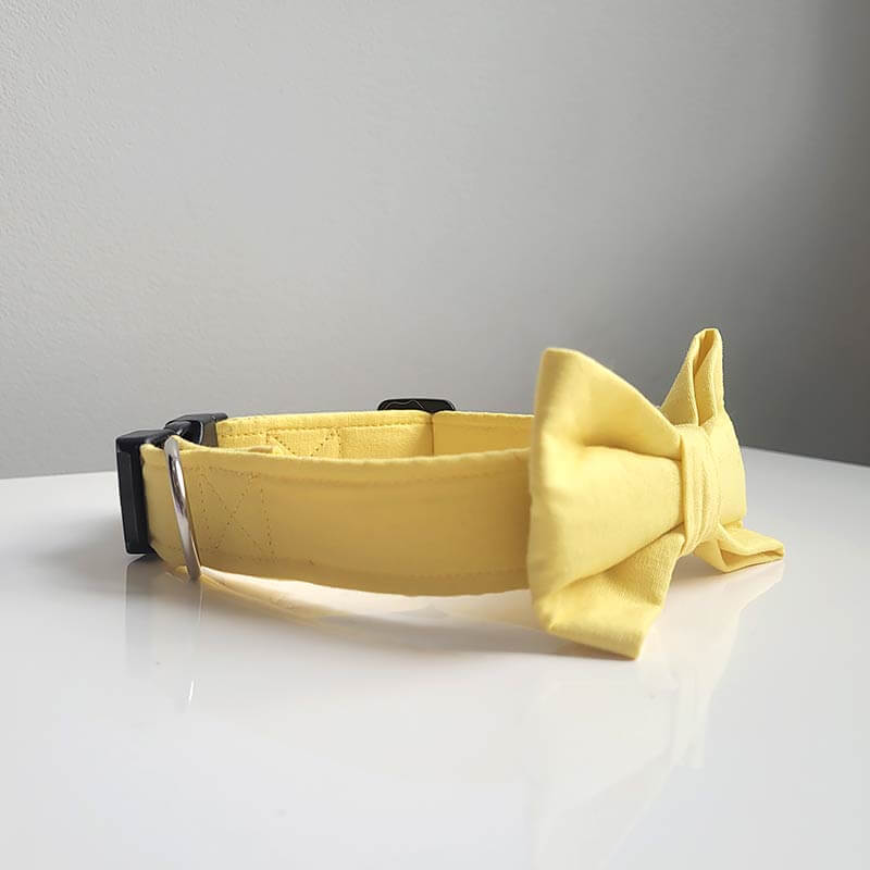 Dog Collar - Lemon - Image 3
