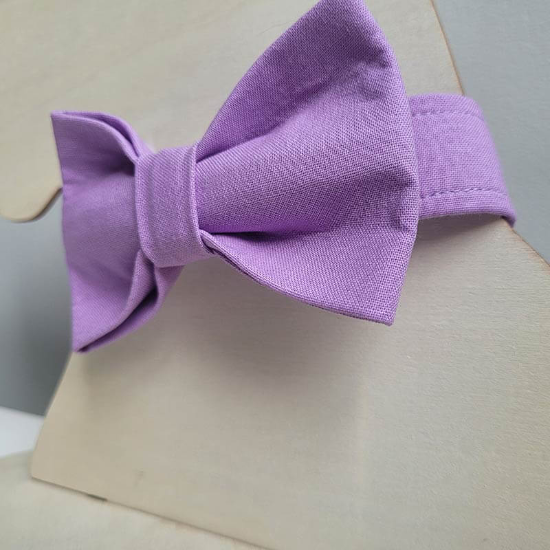 Dog Collar - Lilac - Image 4