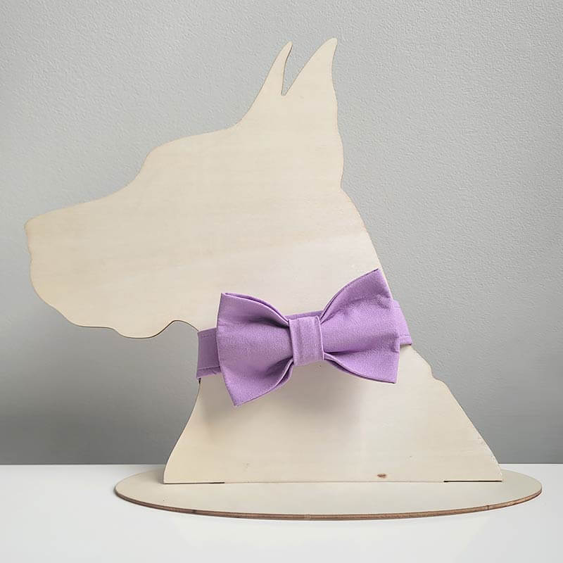 Dog Collar - Lilac - Image 3
