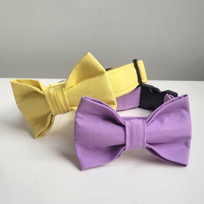 Dog Collar - Lilac - Image 6