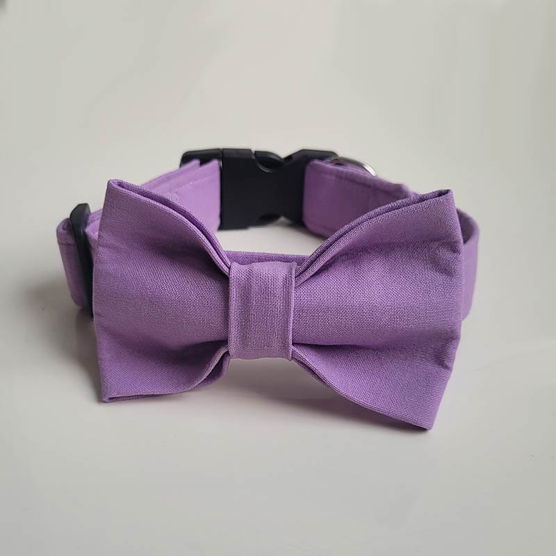 Dog Collar - Lilac - Image 2